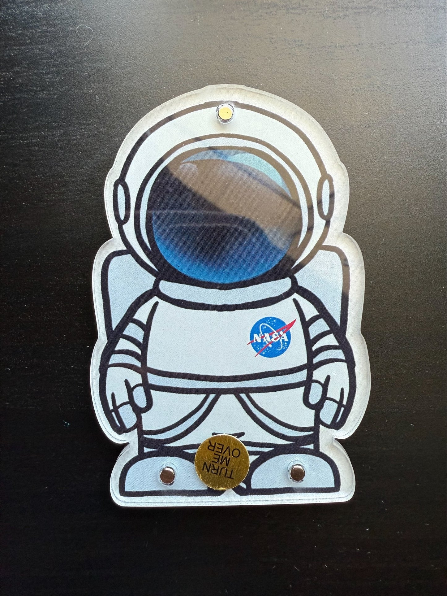 NASA Cartoon Magnet